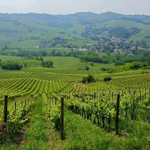 Oltrepo' Dimora Nei Vigneti Vicino A Ics Maugeri , Santa Maria della Versa Italia